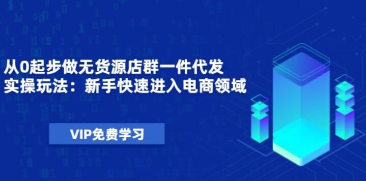 无货源店群一件代发实操课程_新手快速进入电商领域（从0起步40节视频）-吾爱学吧