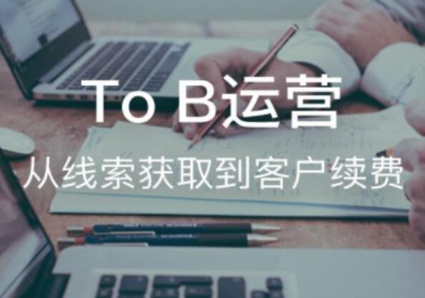 To B运营：从线索获取到客户续费系统课-吾爱学吧