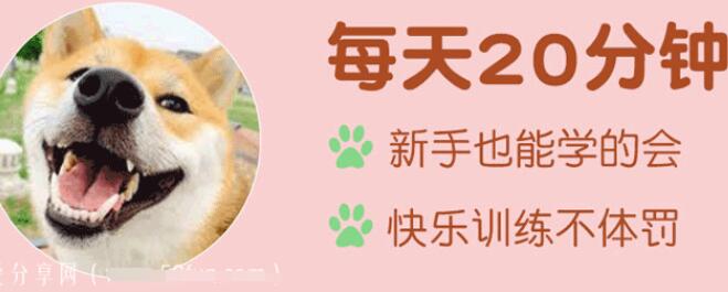 孙若旺：7天就能纠正狗狗坏习惯的训犬教程视频-吾爱学吧