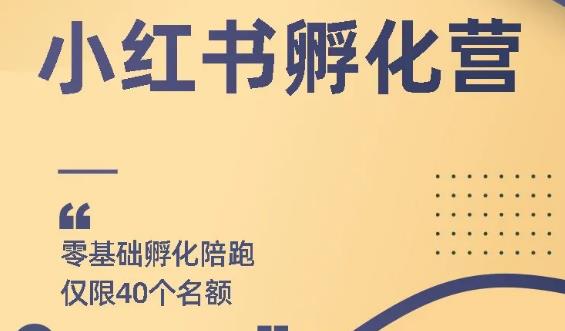 勇哥：怎么通过小红书赚钱？手把手教你快速起号每月躺赚在3000-吾爱学吧