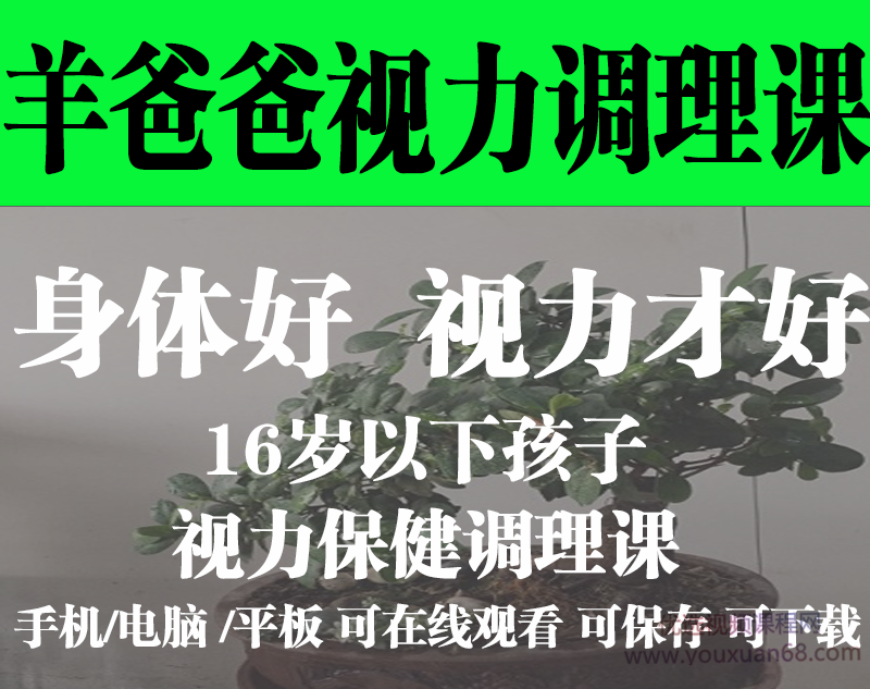 羊爸爸中医育儿：16岁以下孩子的视力保健调理课-吾爱学吧