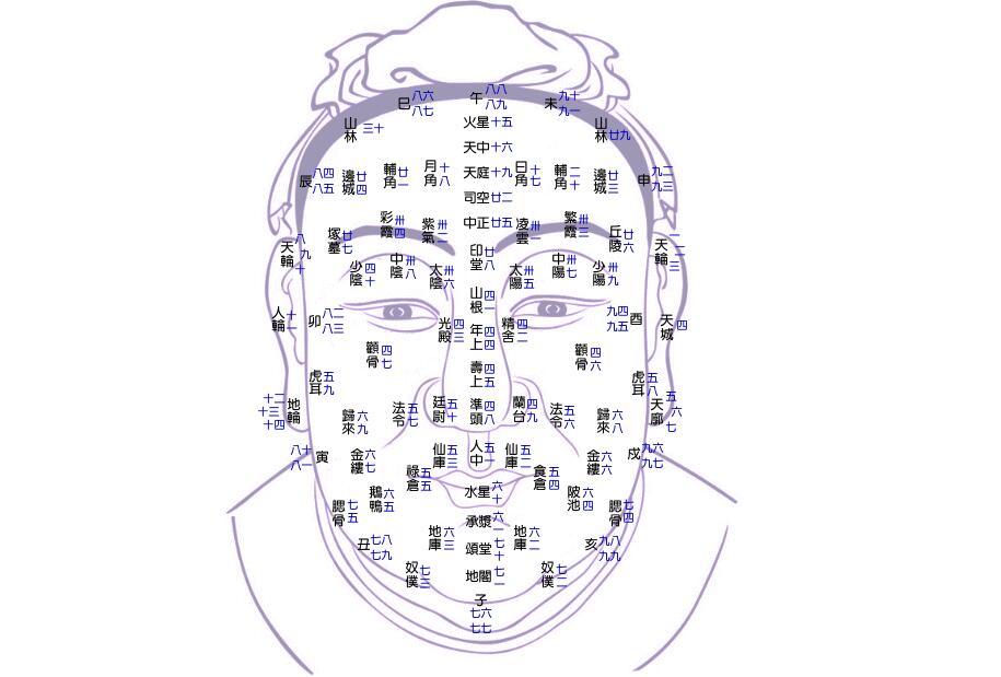 王红人面相学风水教学视频全集（相学风水班）-吾爱学吧