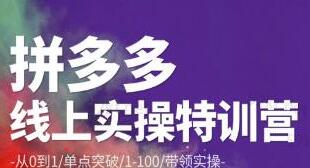 青云·拼多多爆单运营实操特训营（原价2980元）-吾爱学吧