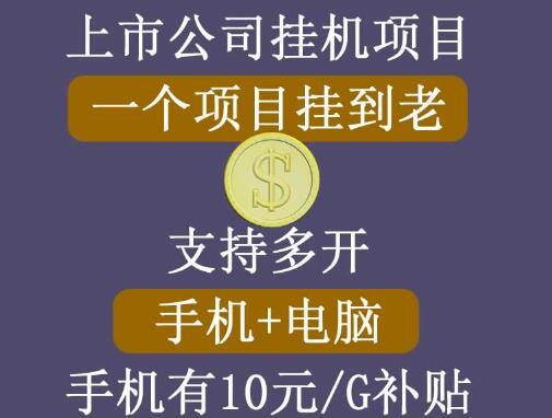 睿思挂机项目·支持手机+电脑+虚拟机多开的赚钱项目-吾爱学吧