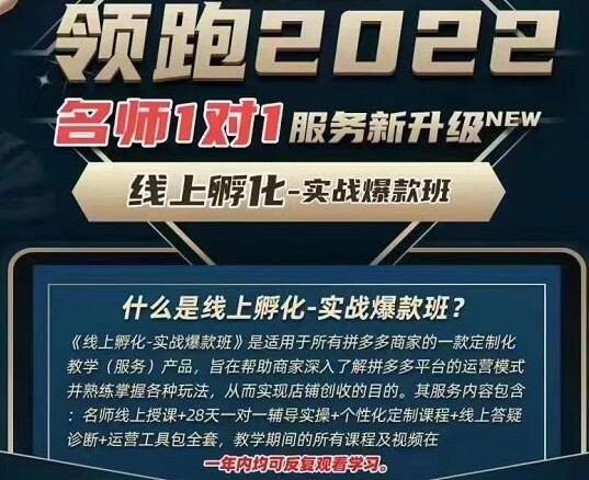 牛气学堂·老陶电商：拼多多线上孵化实战爆款班【第9期】-吾爱学吧