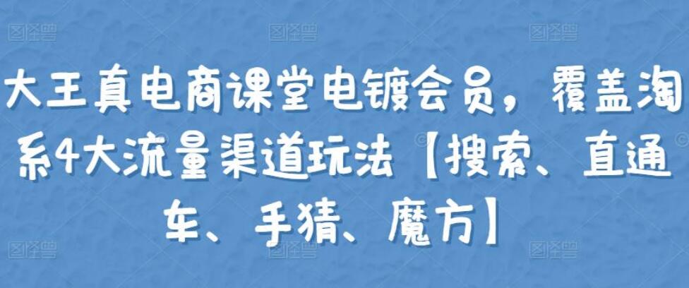 大王真电商课堂电镀会员营销课（搜索+直通车+手猜+魔方）-吾爱学吧