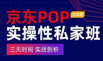 京东POP运营私家班·大促篇：​三天时间，实战剖析（原价4980元）-吾爱学吧