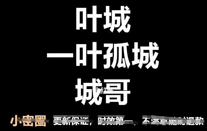 一叶孤城小密圈·价值投资老手2006音频+文档（2023年）-吾爱学吧