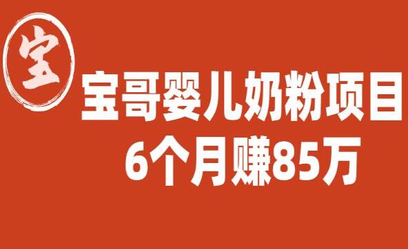 宝哥直播卖婴儿奶粉项目，6个月赚85w（图文揭秘）-吾爱学吧