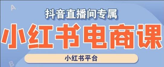 2023小红书电商高级运营课程（实操教学+案例分析）-吾爱学吧