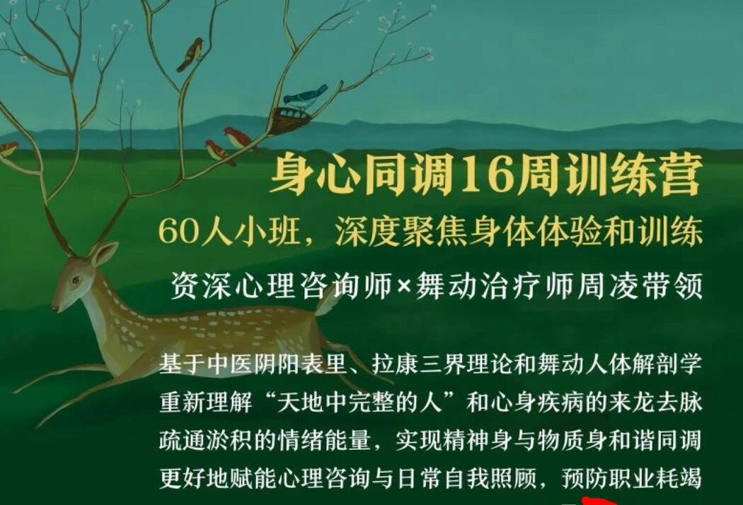 周凌·身心同调16周训练营，整合中医、舞动与拉康，赋能心理咨询与自我照顾-吾爱学吧