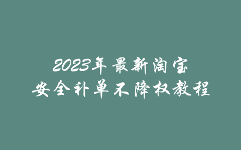 2023年最新淘宝安全补单不降权教程-吾爱学吧