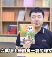 人教统编版小学语文六年级语上册教学视频网课(含试卷)百度网盘下载-吾爱学吧