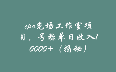 cpa充场工作室项目，号称单日收入10000+（揭秘）-吾爱学吧