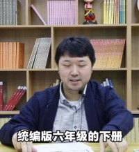 人教统编版小学语文六年级语下册教学视频网课(含试卷)百度网盘下载-吾爱学吧