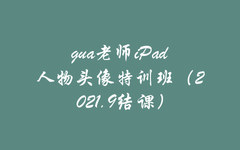 gua老师iPad人物头像特训班（2021.9结课）-吾爱学吧