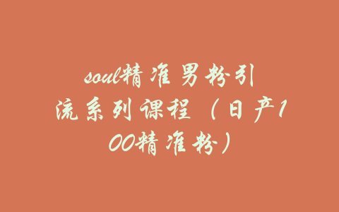 soul精准男粉引流系列课程（日产100精准粉）-吾爱学吧