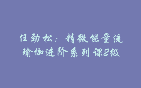 任劲松：精微能量流瑜伽进阶系列课2级-吾爱学吧