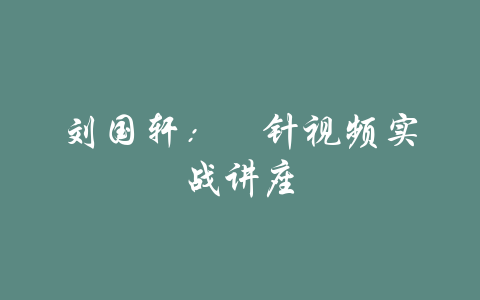 刘国轩：炁针视频实战讲座-吾爱学吧