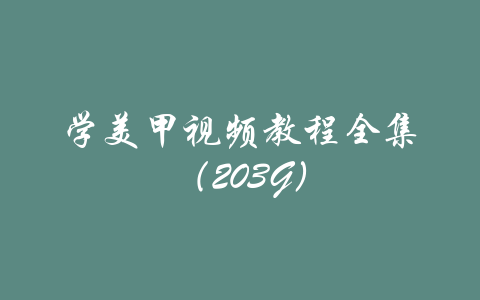 学美甲视频教程全集（203G）-吾爱学吧