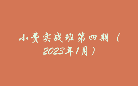 小费实战班第四期（2023年1月）-吾爱学吧