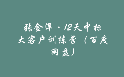 张金洋·12天中标大客户训练营（百度网盘）-吾爱学吧