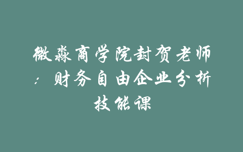 微淼商学院封贺老师：财务自由企业分析技能课-吾爱学吧