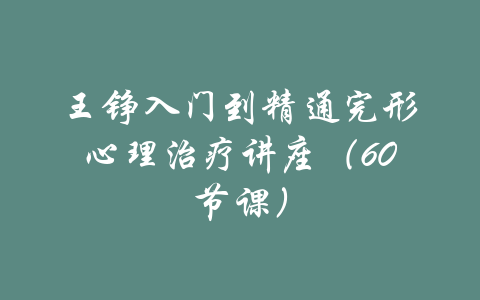 王铮入门到精通完形心理治疗讲座（60节课）-吾爱学吧