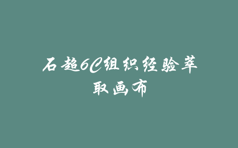 石超6C组织经验萃取画布-吾爱学吧