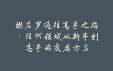 粥左罗通往高手之路·任何领域从新手到高手的底层方法-吾爱学吧