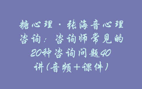 糖心理·张海音心理咨询：咨询师常见的20种咨询问题40讲(音频+课件)-吾爱学吧