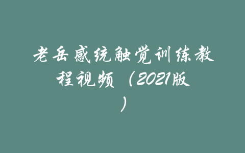 老岳感统触觉训练教程视频（2021版）-吾爱学吧