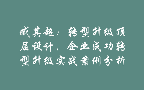 臧其超：转型升级顶层设计，企业成功转型升级实战案例分析-吾爱学吧