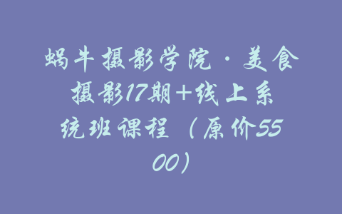 蜗牛摄影学院·美食摄影17期+线上系统班课程（原价5500）-吾爱学吧