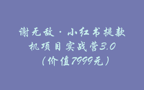 谢无敌·小红书提款机项目实战营3.0（价值7999元）-吾爱学吧