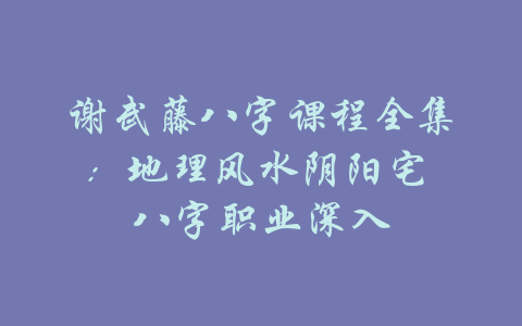 谢武藤八字课程全集：地理风水阴阳宅 八字职业深入-吾爱学吧