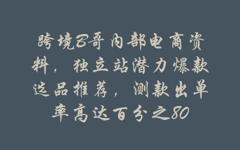 跨境B哥内部电商资料，独立站潜力爆款选品推荐，测款出单率高达百分之80-吾爱学吧