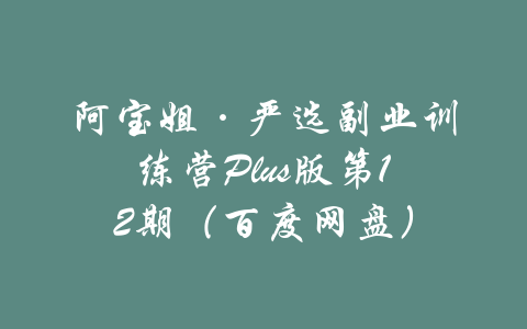 阿宝姐·严选副业训练营Plus版第12期（百度网盘）-吾爱学吧