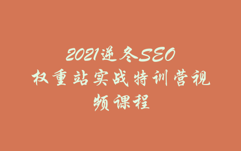 2021逆冬SEO权重站实战特训营视频课程-吾爱学吧