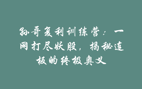 孙哥复利训练营：一网打尽妖股，揭秘连板的终极奥义-吾爱学吧