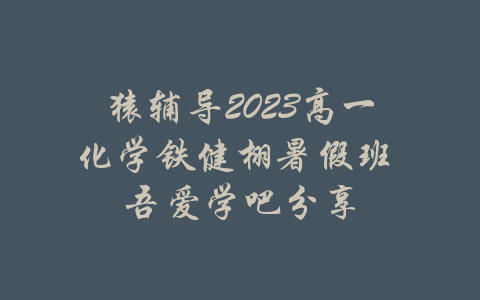 猿辅导2023高一化学铁健栩暑假班 吾爱学吧分享-吾爱学吧