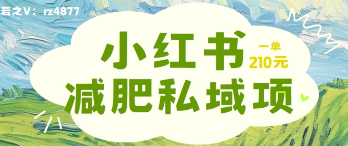 小红书减肥粉，私域变现项目，一单就达210元，小白也能轻松上手-吾爱学吧