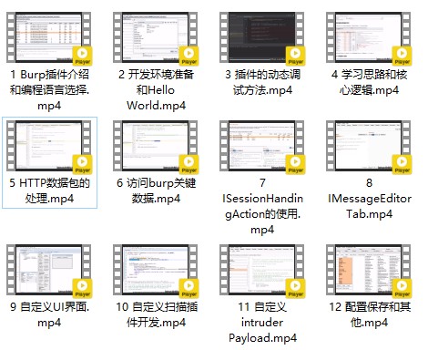 Burp插件开发 视频教程-吾爱学吧